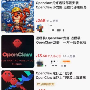 Leyu-OpenClaw火了，最先赚钱的是上门安装，500元一次