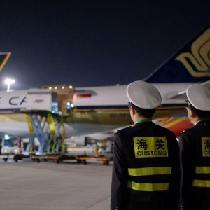 乐鱼-F1数千吨精密设备跨国转运窗口期不足5天，上海海关如何护航？