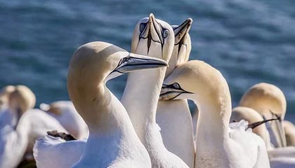 乐鱼app-全国人大代表张全收：只要身体硬朗、自己愿意，建议允许60岁以上农民工继续务工